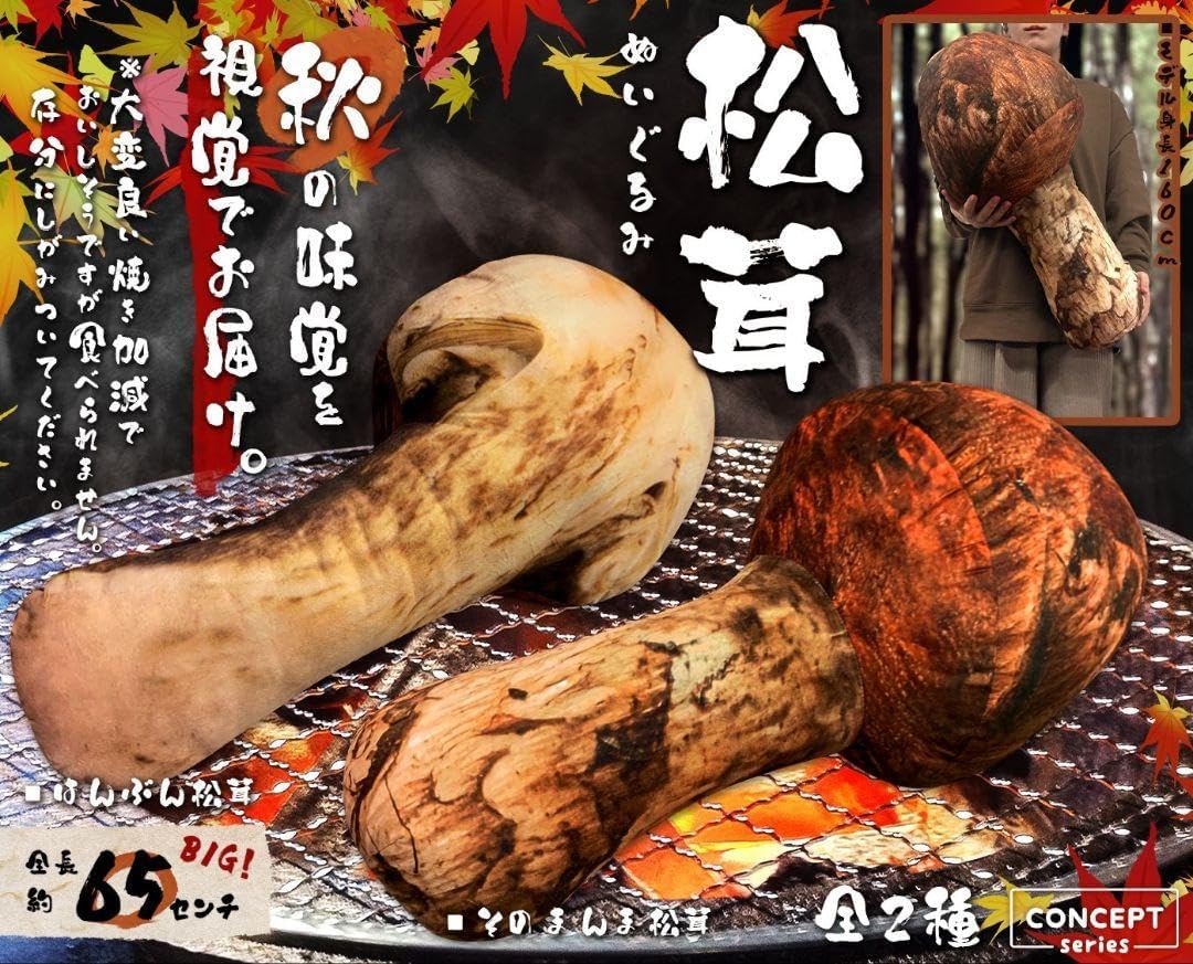 訳あり 国産 松茸 300g前後 まつたけ マツタケ 長野 2024年10月