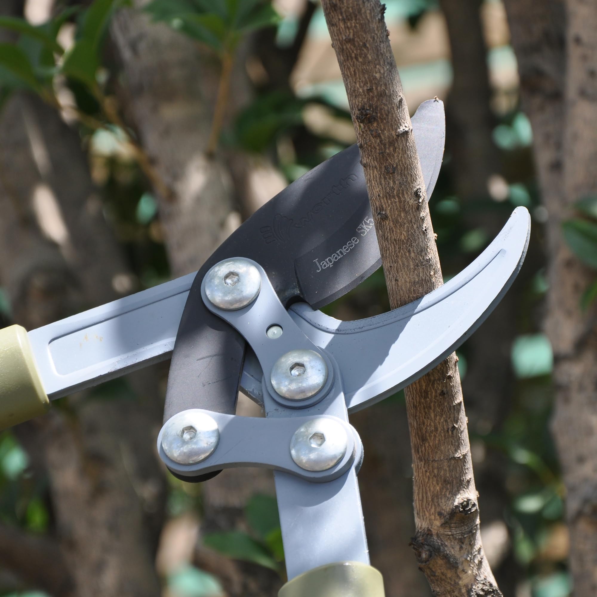 3pc Shear Set Tree Loppers Heavy Duty Professional Hedge Clippers Sharp Pruning Shears Trees Planter Tree Cutting Tool Shears Lopper Set Sharp Pruning Shears Tree & Shrub Care Kit 3pc Shear Set Tree Loppers Heavy Duty Professional Hedge Clippers Sharp Pruning Shears Trees Planter Tree Cutting Tool Shears Lopper Set Sharp Pruning Shears Tree & Shrub Care Kit
