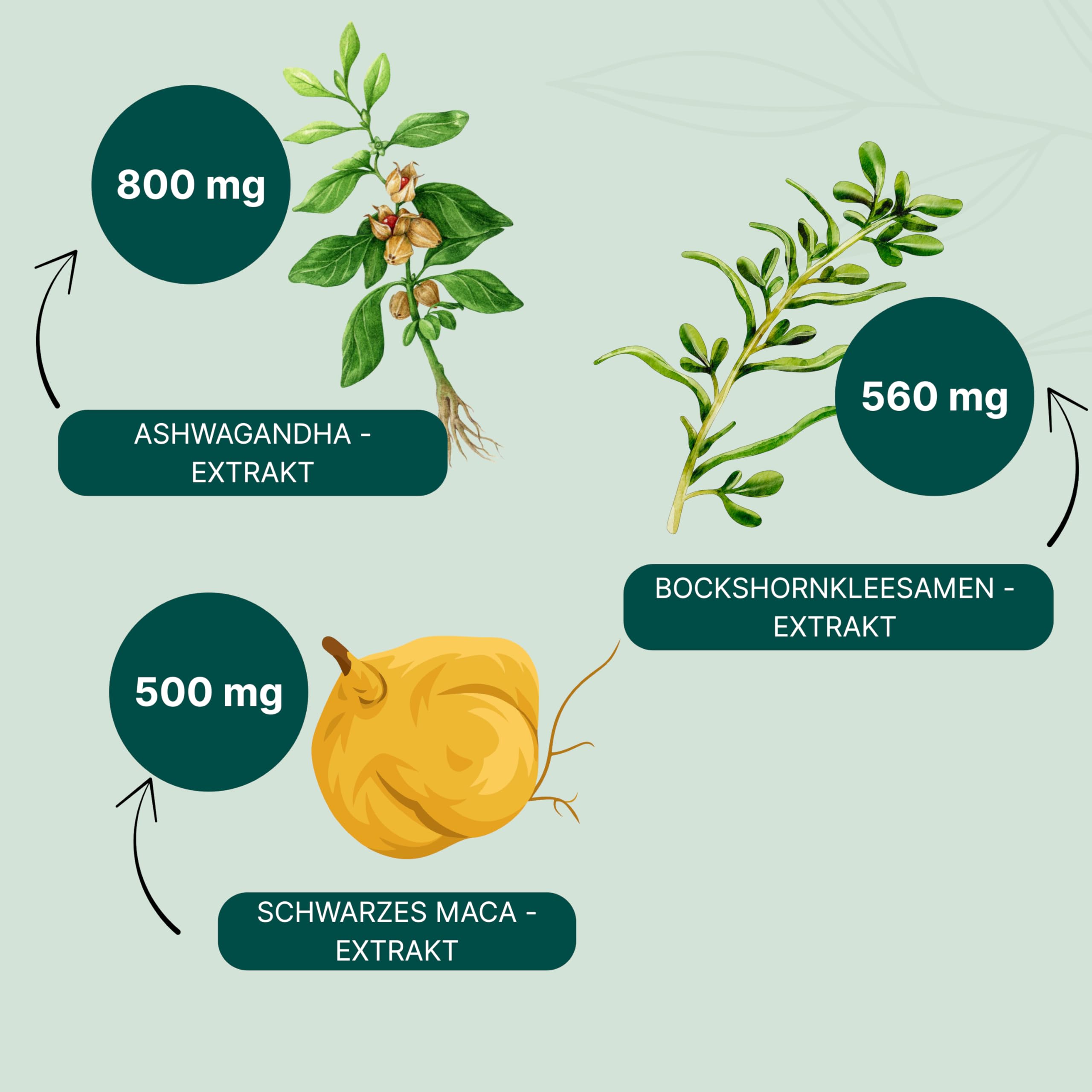 ESSENZ - Testo Vit 90 Kapseln - Natürliche Testo Vit Kapseln mit Ashwagandha-, Bockshornkleesamen- & Schwarzes Maca-Extrakt. Zur Förderung des Wohlbefindens