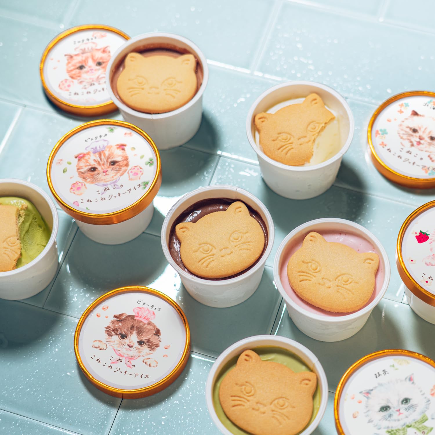 Amazon.co.jp: お歳暮に CACAOCAT ICE BAR × こねこねアイスセット