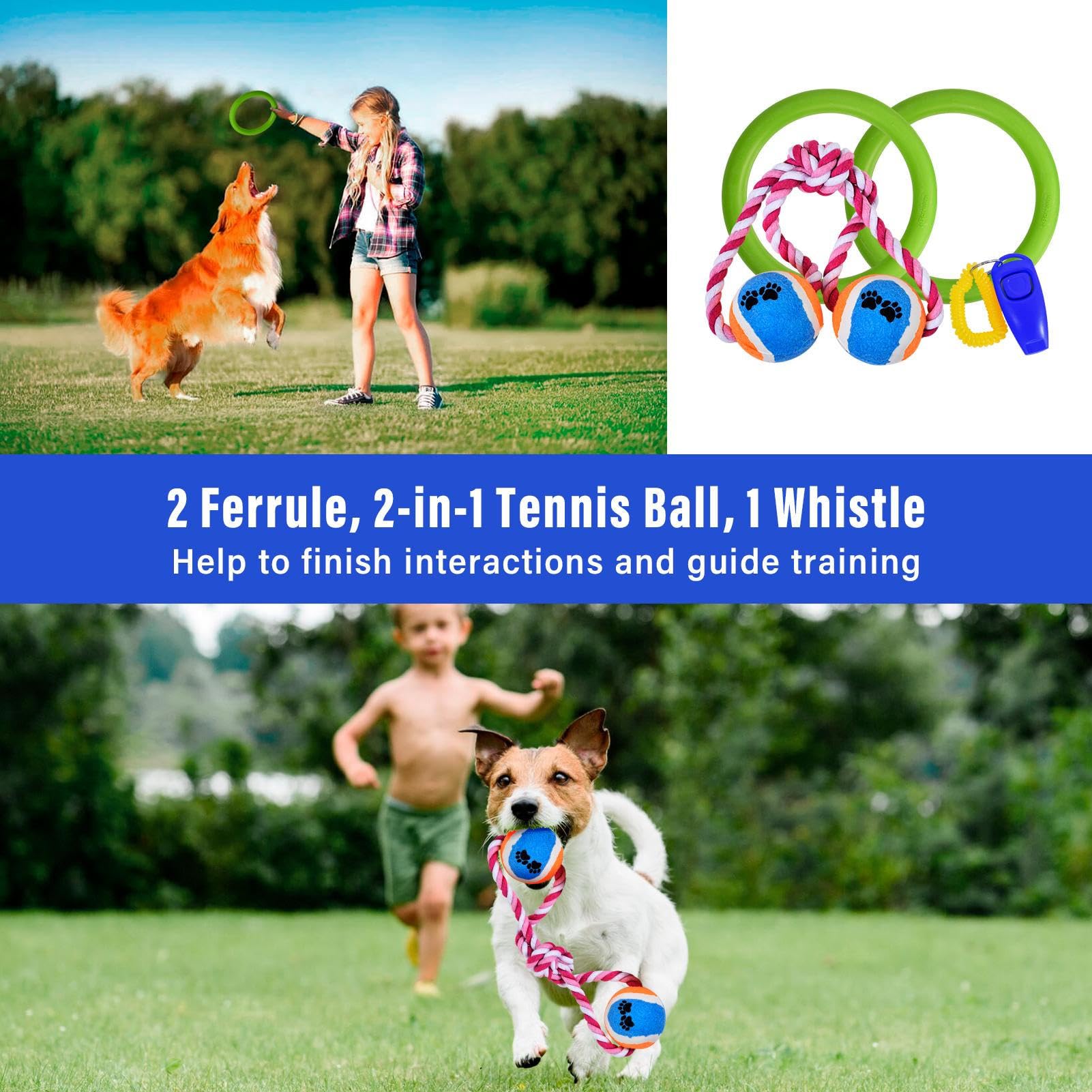 Dog Agility Training Equipment, Dog Agility Course Backyard Set with 2 Adjustable High Hurdle, 2 Tunnels, 6 Weave Poles, Pause Box, Jump Ring, Snack Bag, Folding Bowl, Balls, Whistle, Carry Bag - image 7