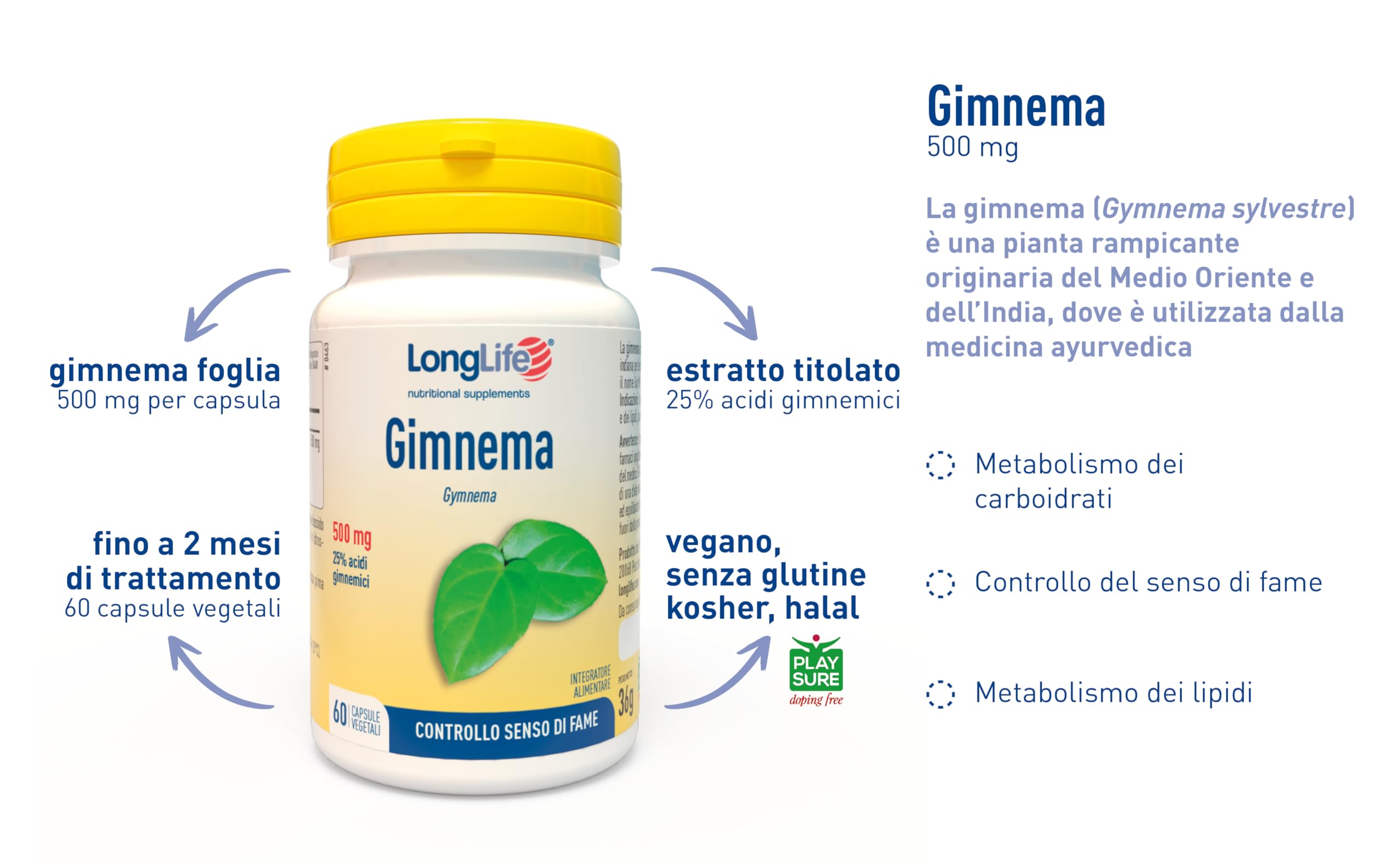 LongLife® Gimnema | Estratto titolato al 25% acidi gimnemici | Supporto metabolismo dei carboidrati | Controllo del senso di fame | Fino a due mesi trattamento | Vegano e senza glutine