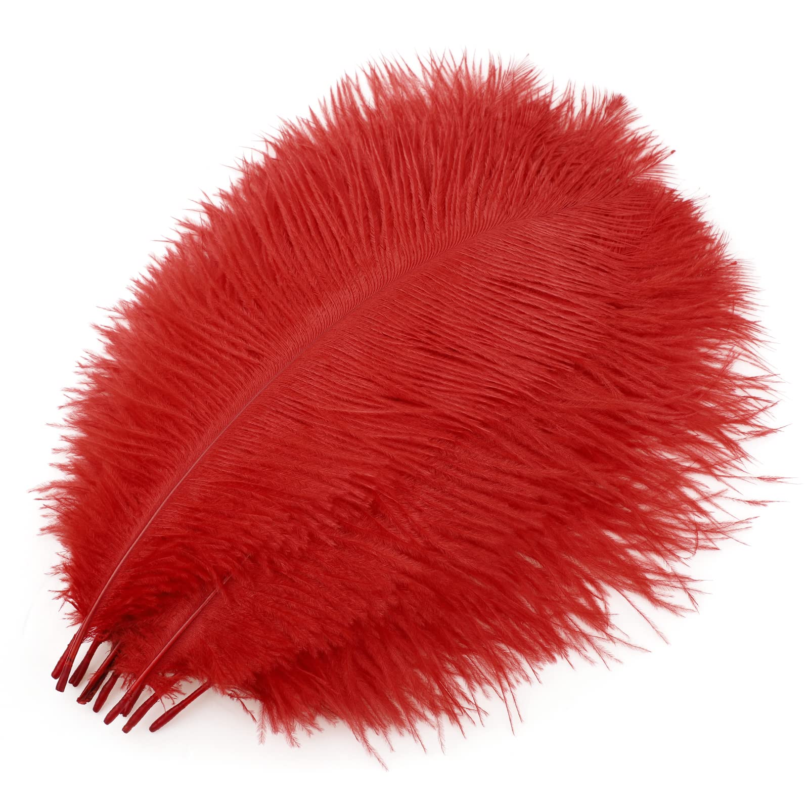 MWOOT 10pcs Natural Ostrich Feathers - Image 2
