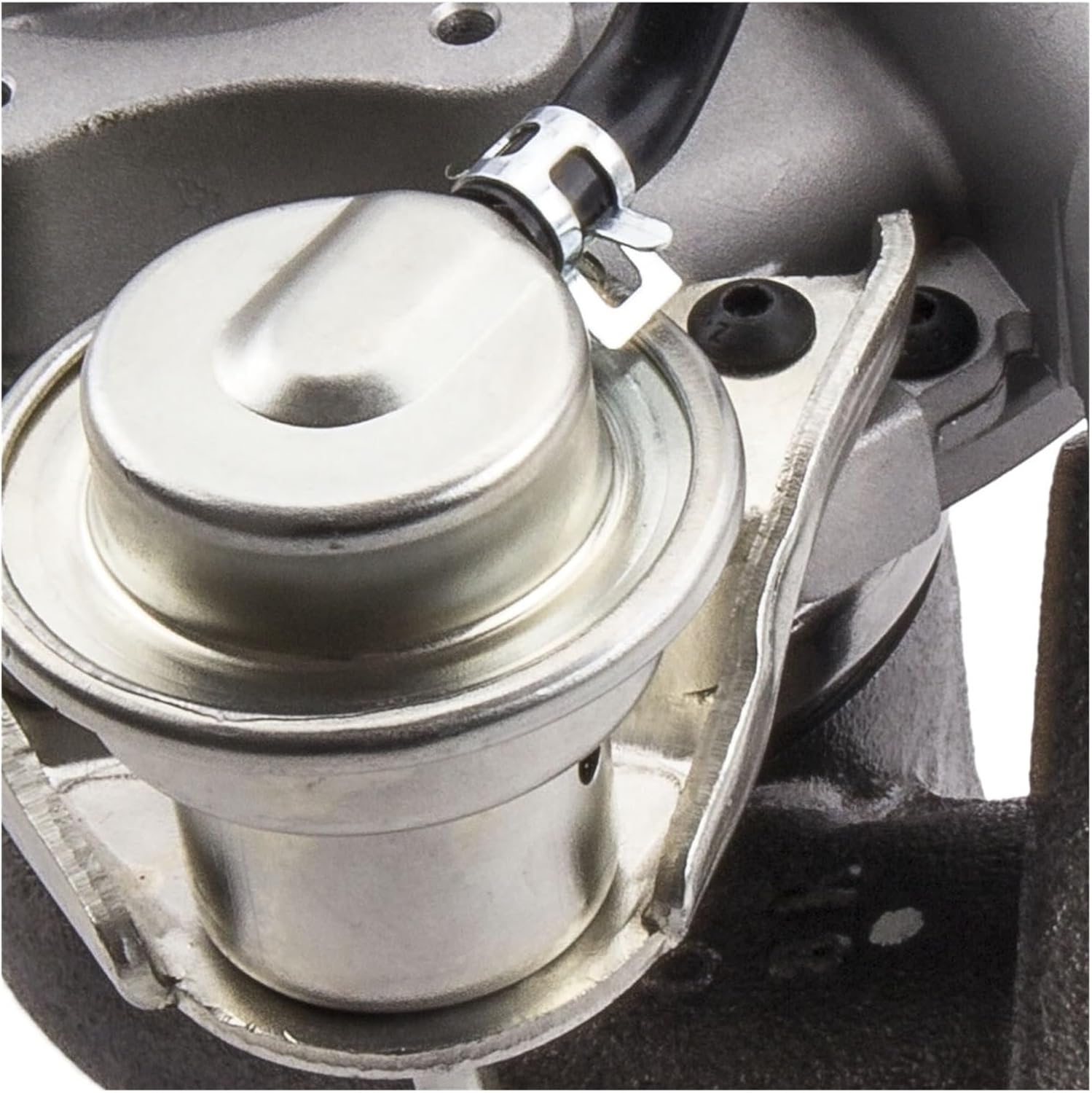 NMB48 宮原心音 2025 january ランダム 生写真 直筆 NMB48 宮原心音