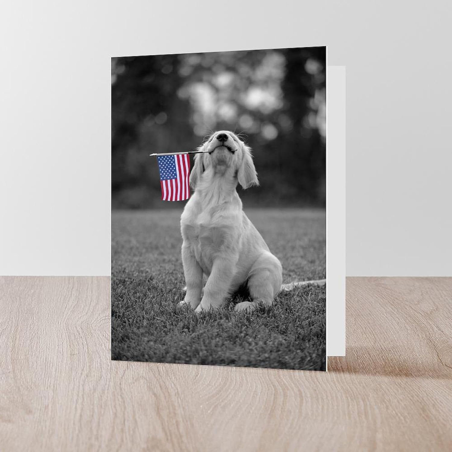 CafePress 4Th Of July Patriotic Puppy Greeting Cards (Pk Of Greeting Card (20-pack), Note Card with Blank Inside, Birthday Card Matte