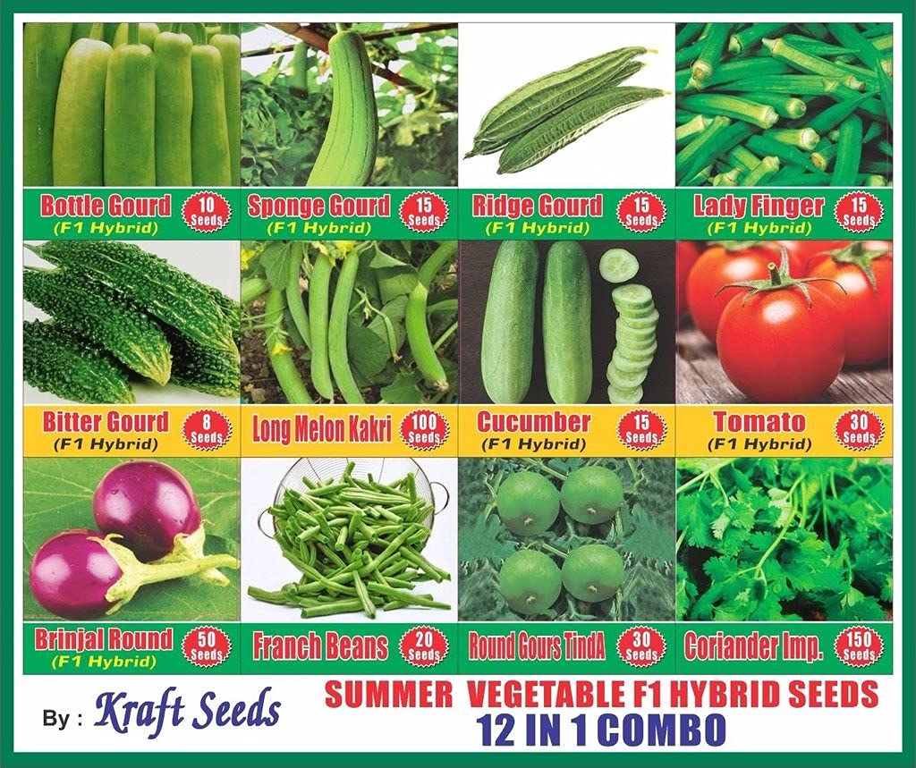 Kraft Seeds Summer Vegetable Hybrid Seeds Combo (12 In 1) Amazon.in