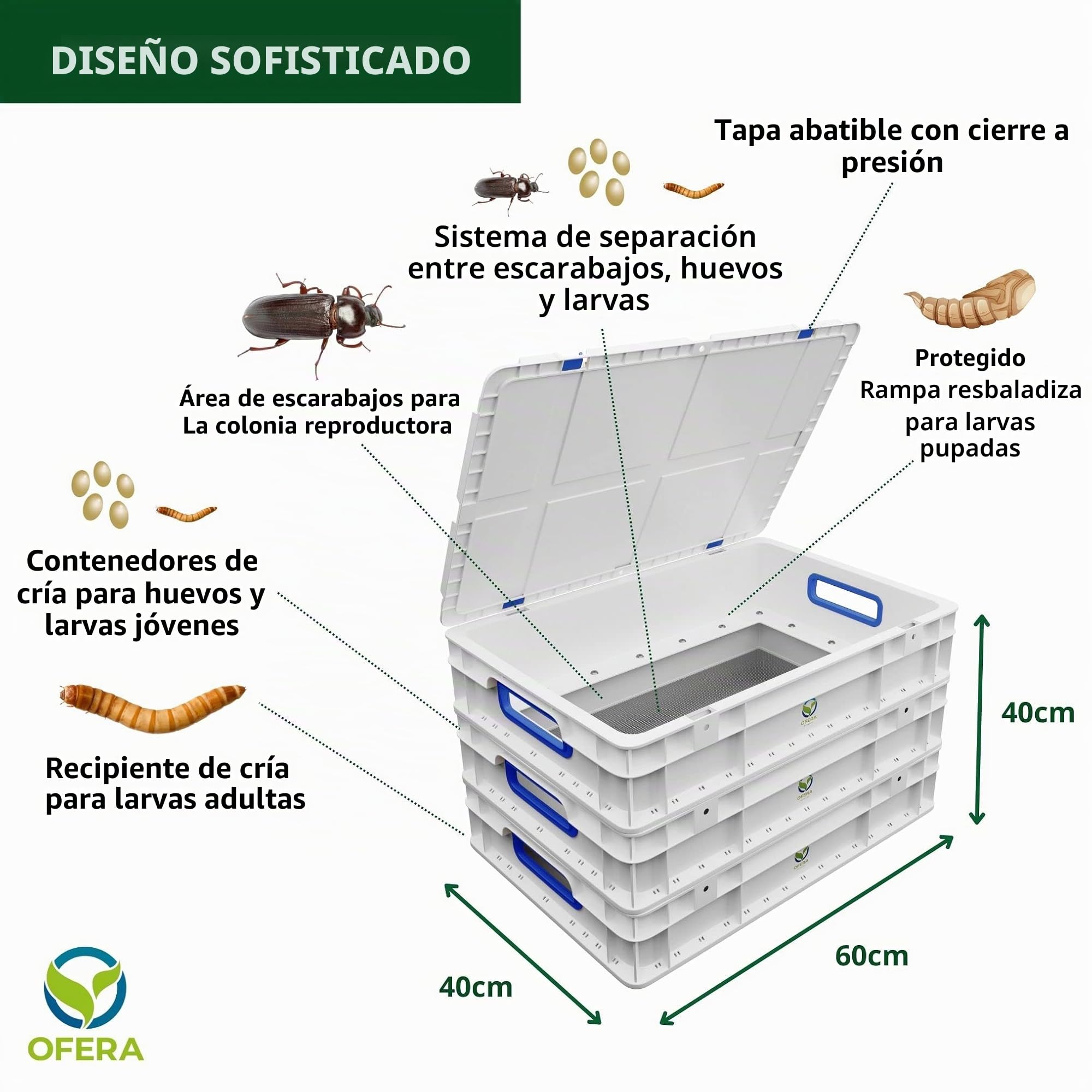 Juego Completo de Gusano de harina de Granja para cría de Gusanos