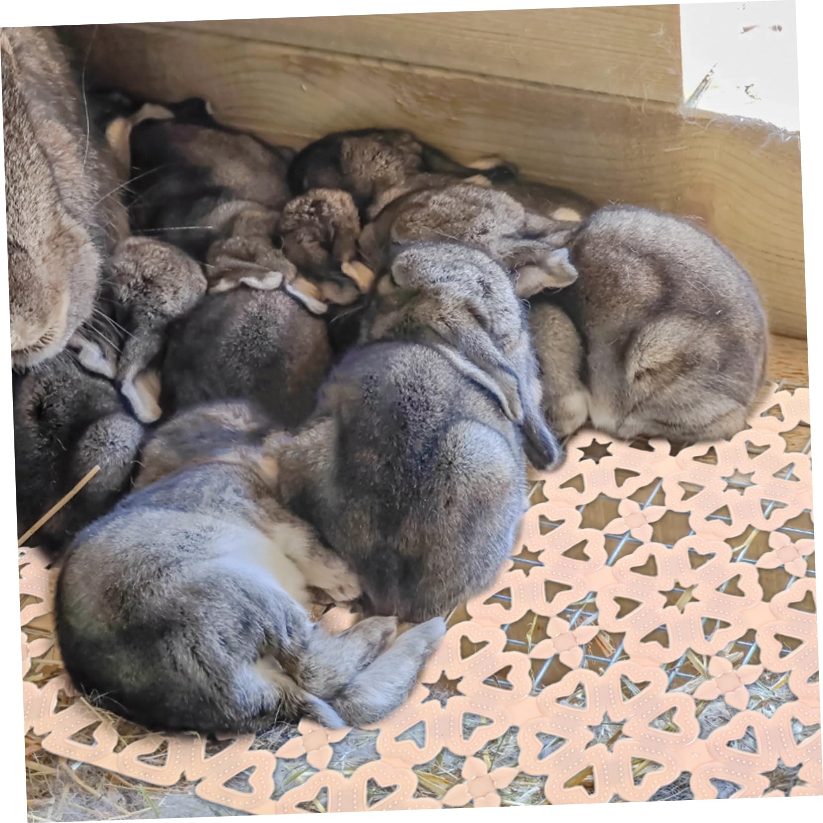 Sosoport Kaninchenkäfigboden aus PVC Bodenmatte für Haustiere mit Loch Einfache Montage für Kaninchen und Hundekäfige 10 Stück-Pack