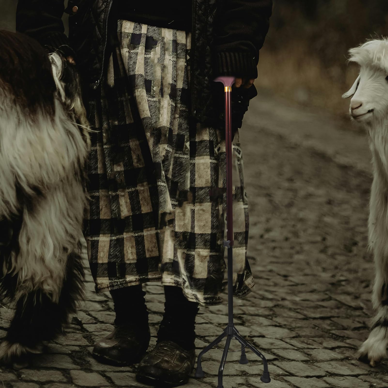 Bastone Da Passeggio Regolabile Staccabile in Alluminio Leggero 4 Piedi Antiscivolo Per Anziani Supporto Stabile Per Escursionismo e Passeggiate All’aperto