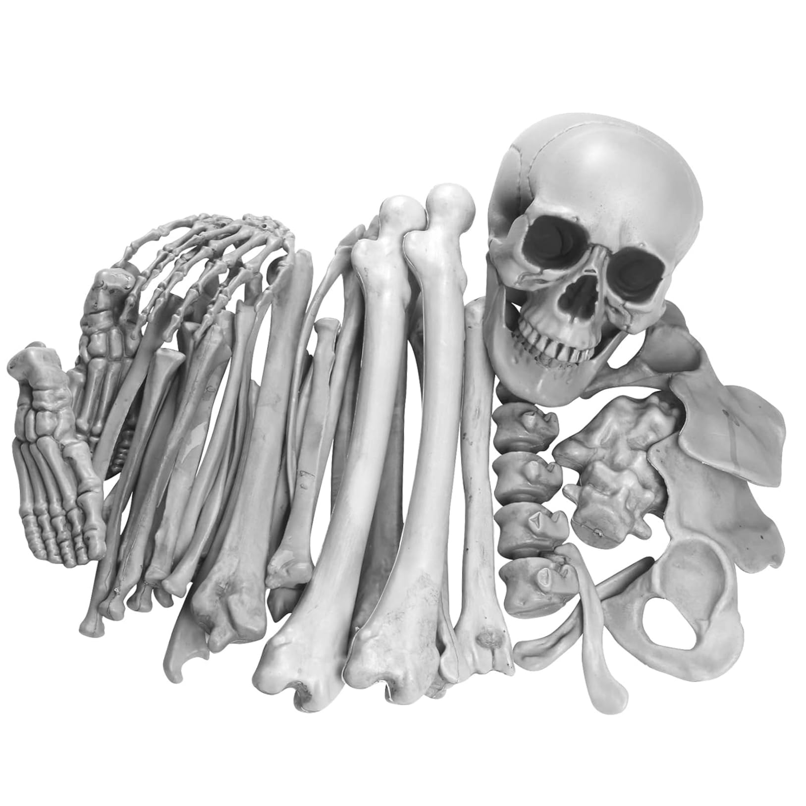 Ameble Bag of Bones (28 Pcs) Realistic Skeleton Bones Spooky Plastic Halloween Skeleton Scary Life Size for Halloween Graveyard Scene Haunted Houses Outdoor and Indoor