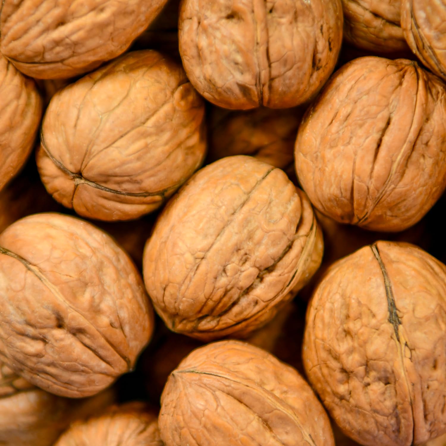 nut&me Nueces con Cáscara 500g | Alto contenido en Omega 3 | Ricas en Antioxidantes | Sin gluten | Snack 100% natural | Sin conservantes