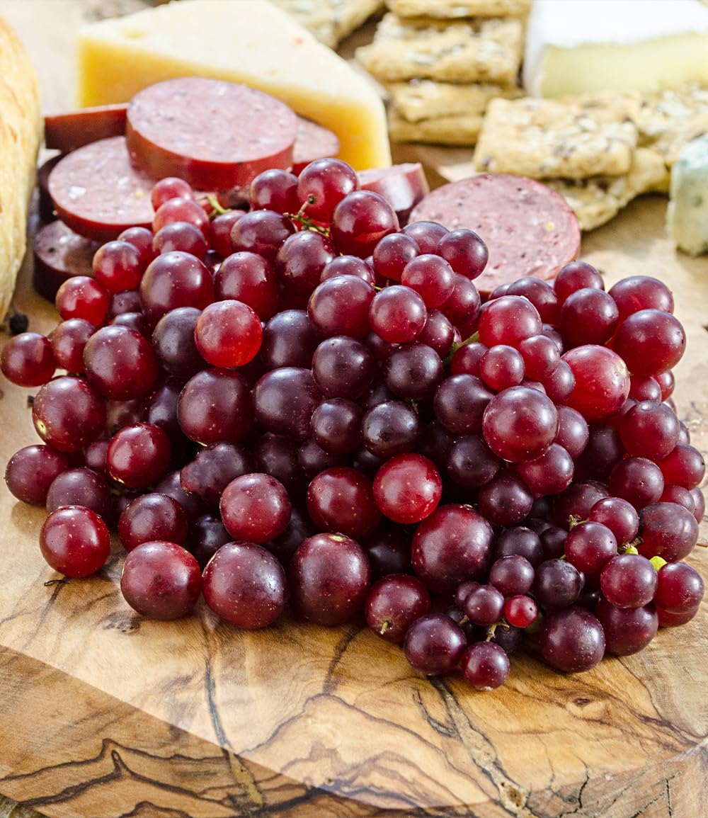 BALDUR Garten 1x Immertragende Tafel-Traube 'RazzMatazz®', Pflanze im 14 cm-Topf, resistent und pflegeleicht, winterhart bis -18 °C, kernlose Trauben, monatelange Ernte ab Juli