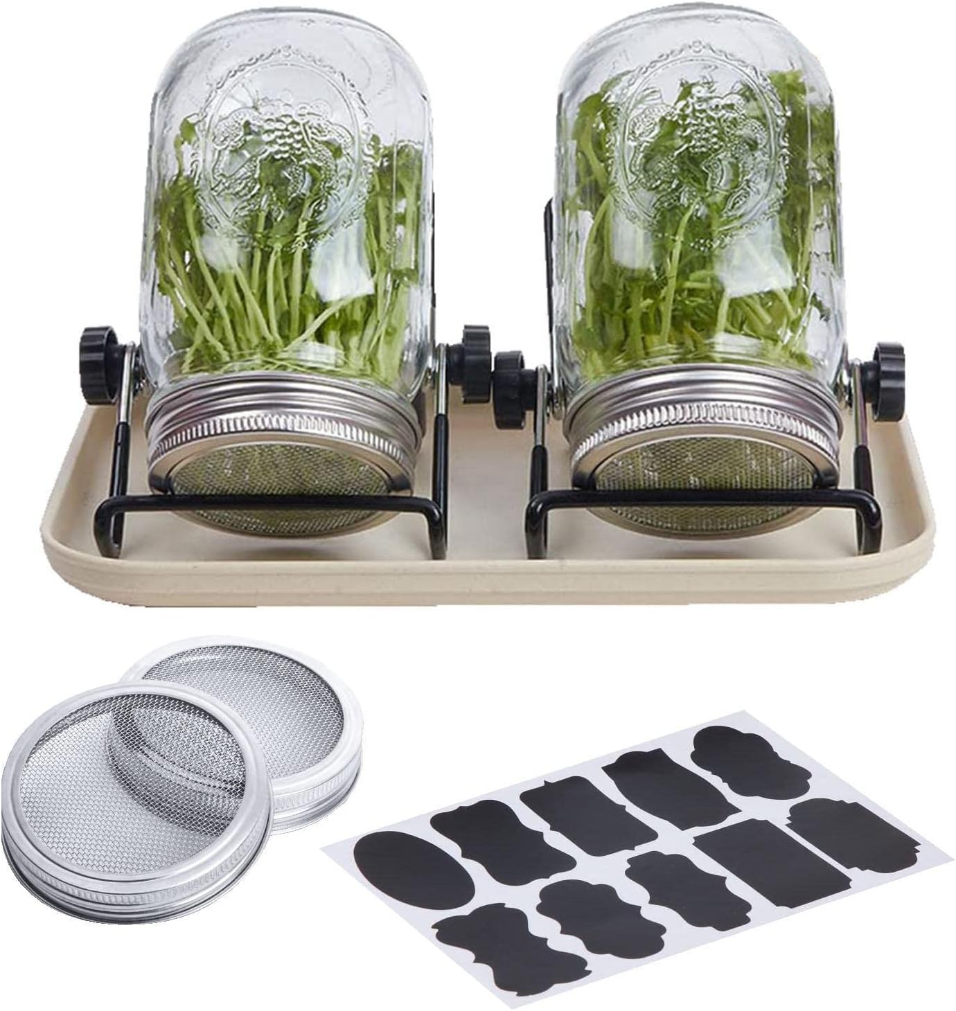 Broccoli Sprouting Seeds, Twist & Sprout Sprouting Jar Kit, Sprouting