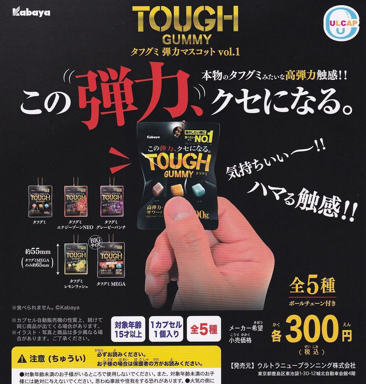希少　カバヤ　くたくたフレンズ　マスコット　食玩　10体セット 希少 カバヤ くたくたフレンズ マスコット 食玩 10体セット