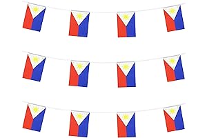 Supporting Filipino Pride Parade Events with Patriotic Philippines Flag Banner String