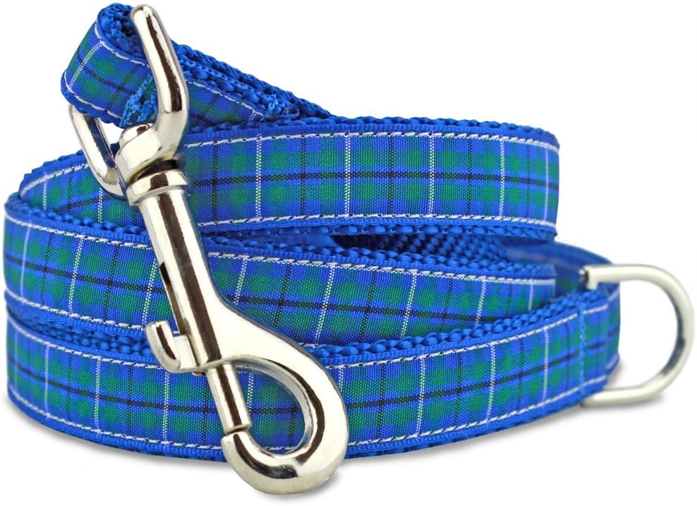 Plaid Dog Leash, Douglas Tartan, 5 Ft Long, 3/4" Wide
