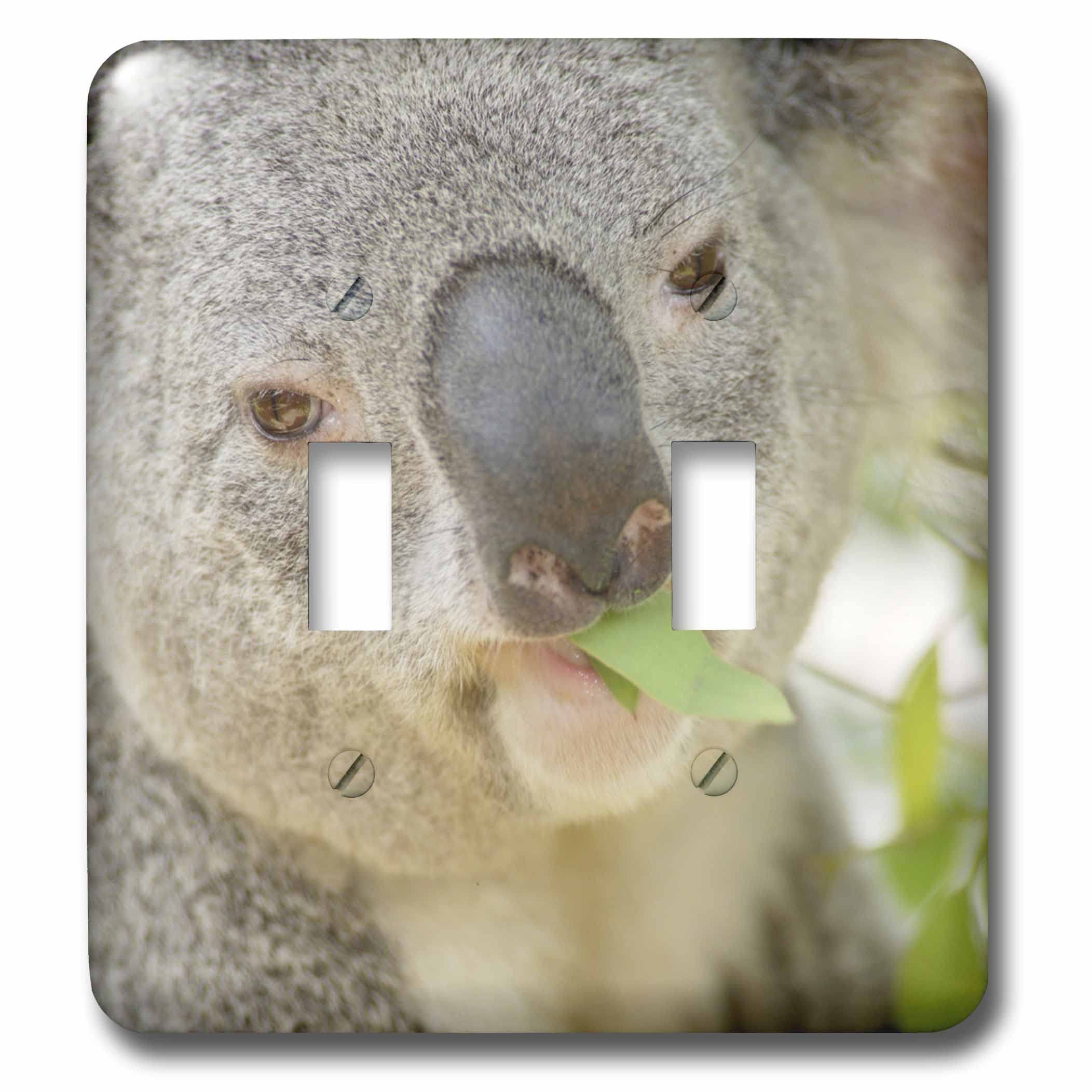 Interrupteur double à bascule imprimé koala Queensland motif eucalyptus coloré