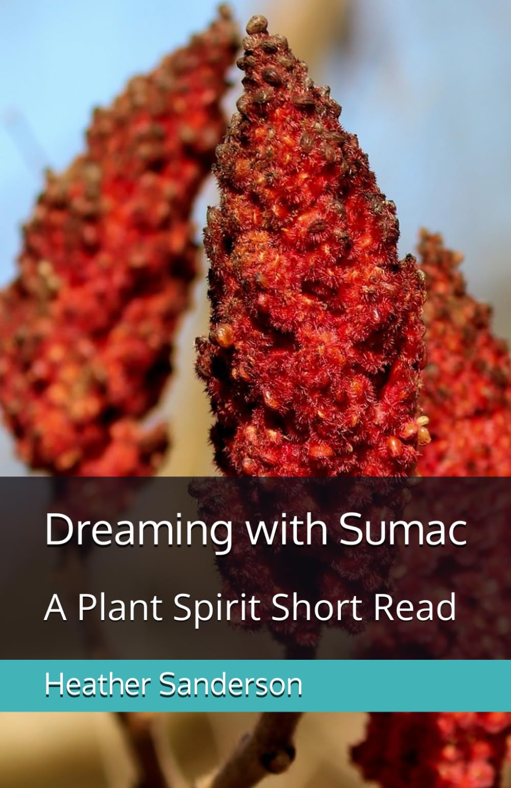 Dreaming with Sumac: A Plant Spirit Short Read (Dreaming with the Plants)