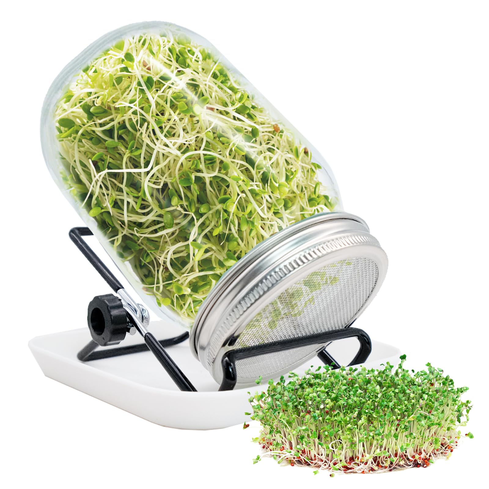 kit pots de germination 1000ml