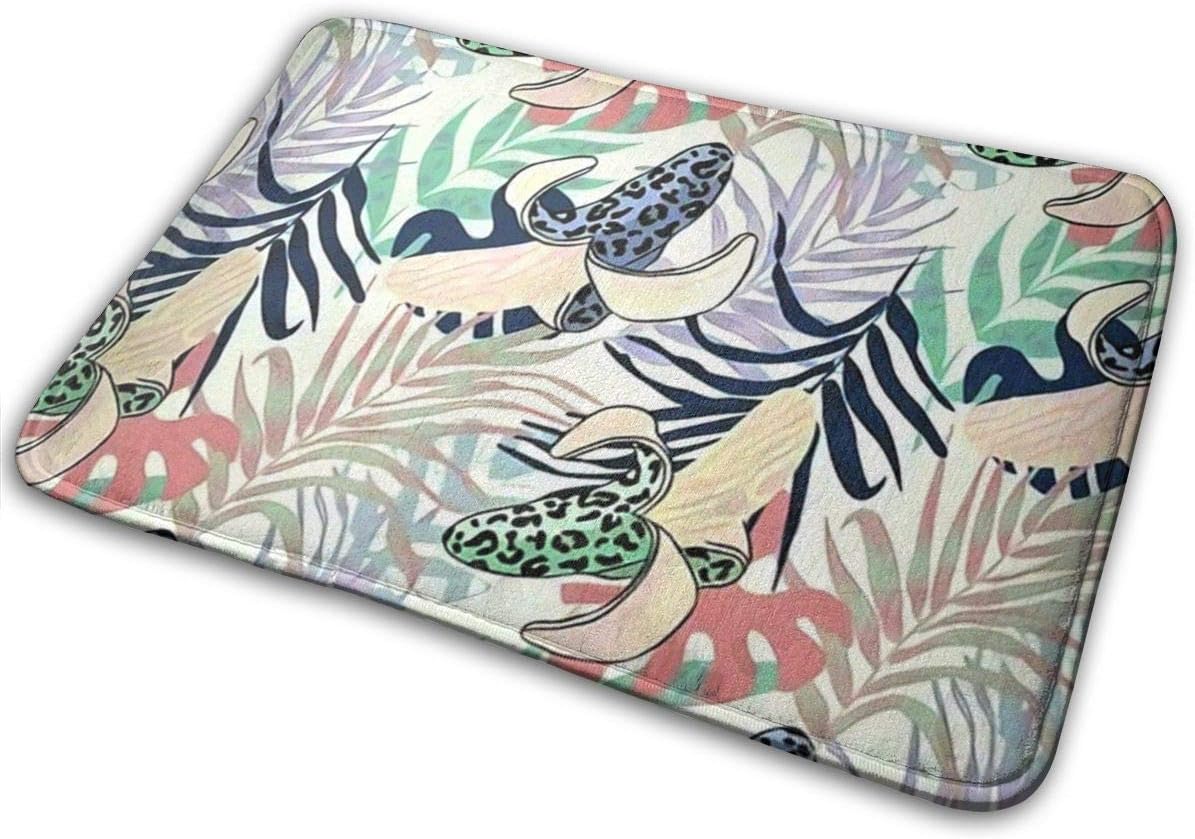 DGbanma Door Mat Outside,Indoor Doormat, Front Door Mat