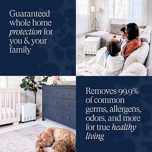 Miniatura 4 de EnviroKlenz Purificador de aire para el hogar de 1000 pies cuadrados estándar, con filtro HEPA (blanco) | Cobertura máxima, ruido mínimo |