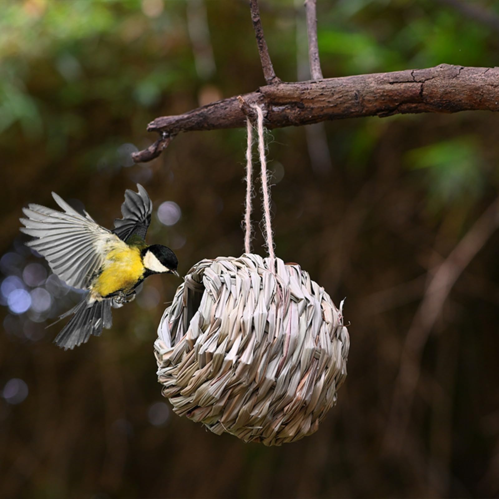 View 4
