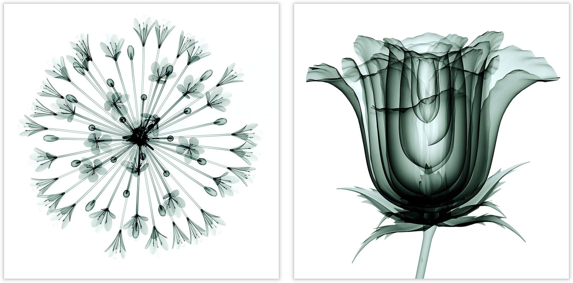 Empire Art Direct African Bluebell and Rose Veil Frameless Free Floating Tempered Glass Panel Graphic Wall Art Ready to Hang, 24" x 24" x 0.2"