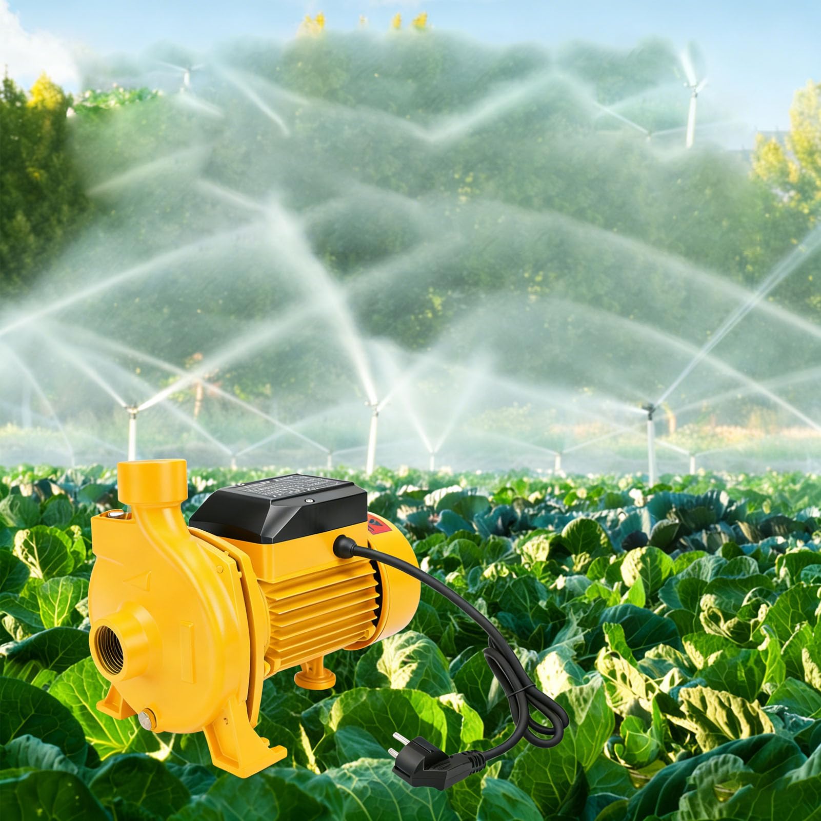 Pompe Centrifuge Auto-amorçante 750W 30m Tête 200L/min Pompe à Eau de Circulation pour Tuyau avec Sortie 1IN Petite et Légère pour Chaudière Domestique Agricole (Prise UE 220V)