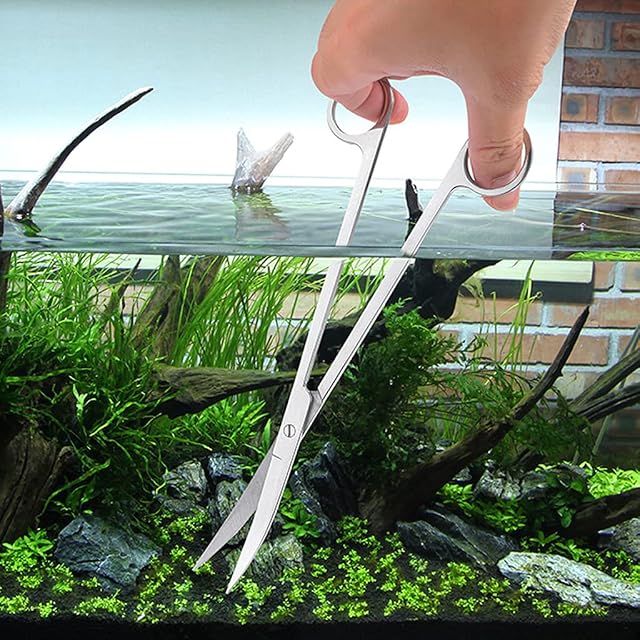 Foto 2 de 8 de LANCHEN - Tijeras onduladas de Acero Inoxidable para Plantas de Acuario, Herramientas Curvas para pecera