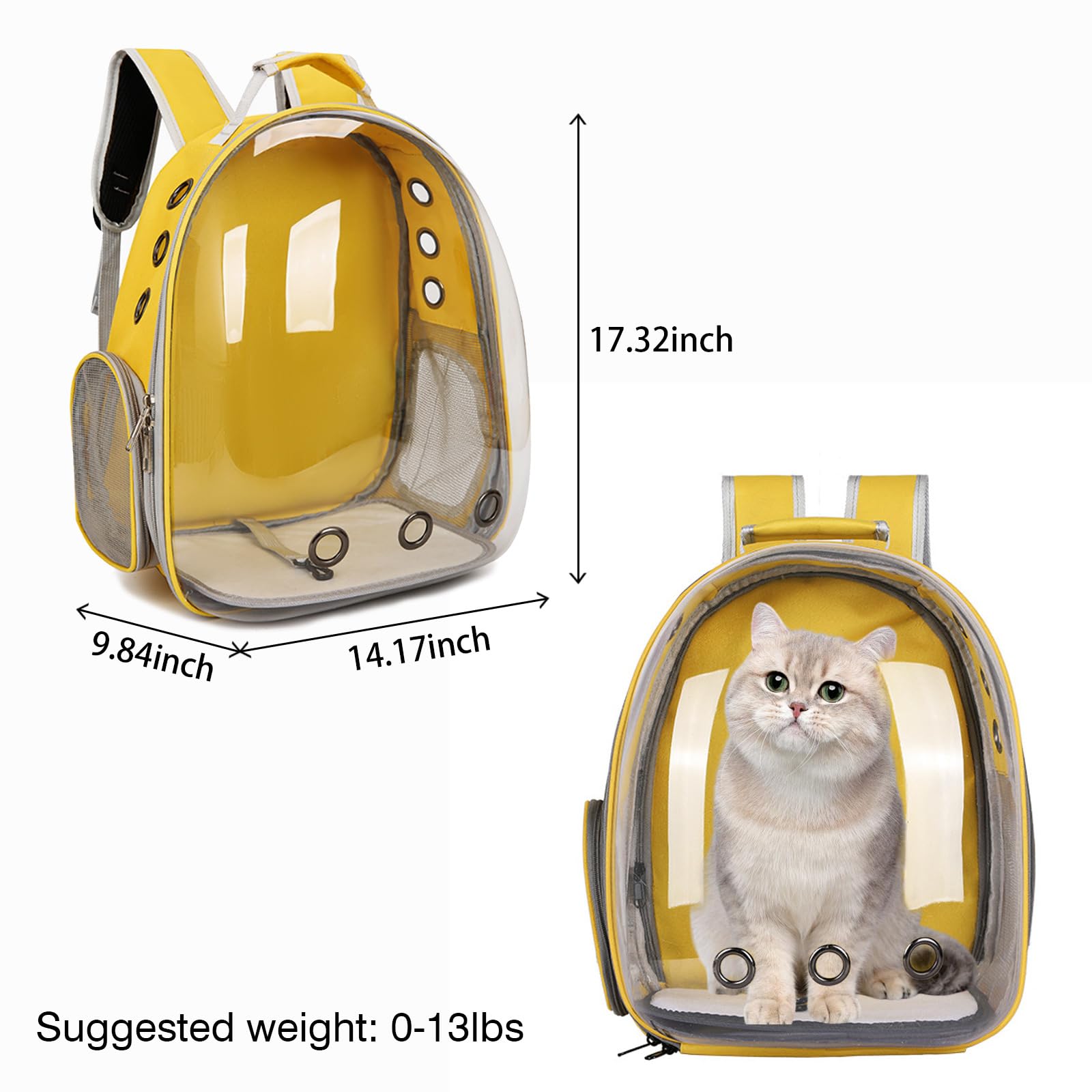 Feline Rescue How To Get An Unwilling Cat Into A Carrier Pets Cats