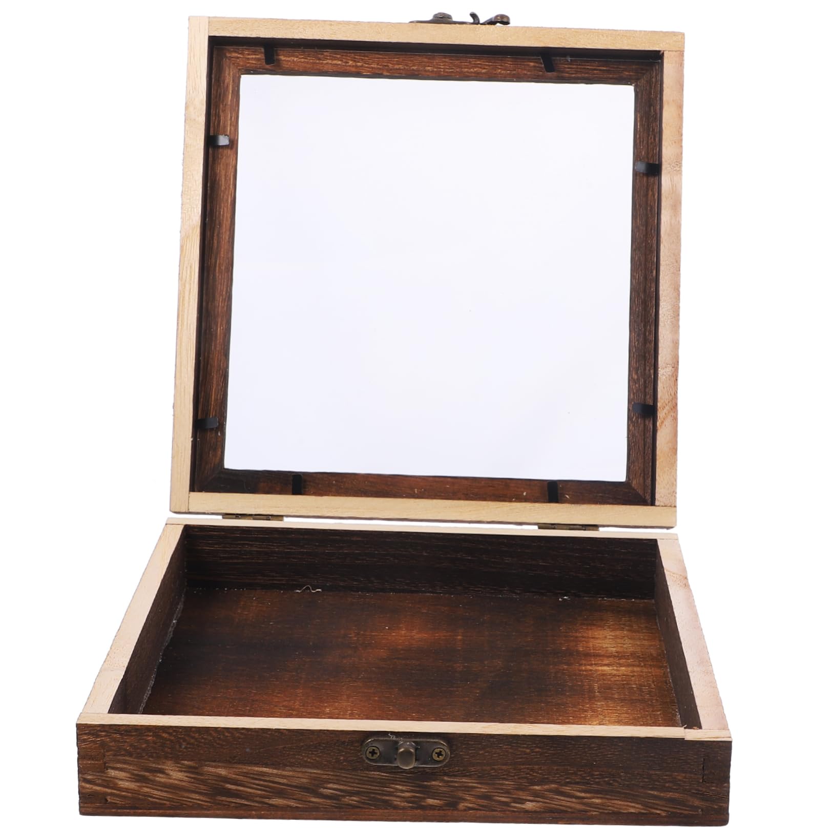 Display Case Dried Display Stand Specimen Display Holder Specimen Exhibit Case Butterfly Display Frame Specimen Holder Specimen Frame Dried Storage Case Acrylic FUNOMOCYA