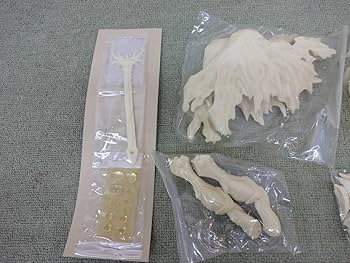 「掘り出し」デザスト　ガレージキット 掘り出し」デザスト ガレージキット VOLKSボークス ガレージ