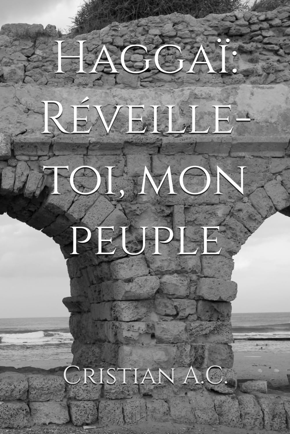 Haggaï: Réveille-toi, mon peuple (Études bibliques : livre par livre)