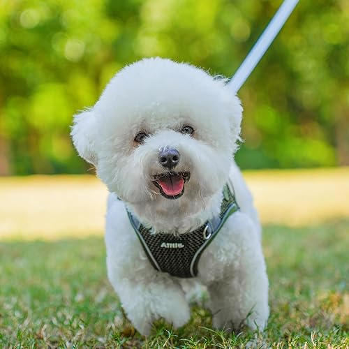 Miniatura 9 de AIITLE Arnés para cachorros para perros pequeños, arnés ligero de malla de aire para cachorros, arnés para perro con correa, chaleco acolchado sin