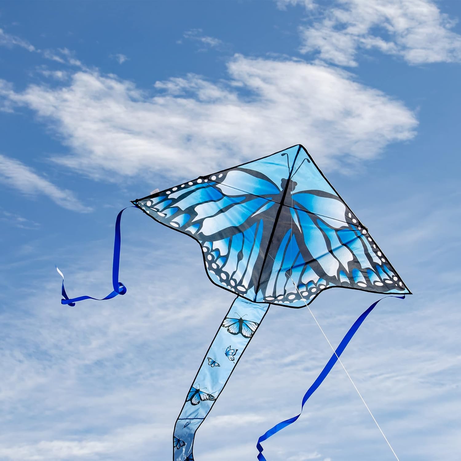 In the Breeze Printed Graphic Fly-Hi Kite, Single Line Kite, Ripstop Fabric, Line and Bag Included