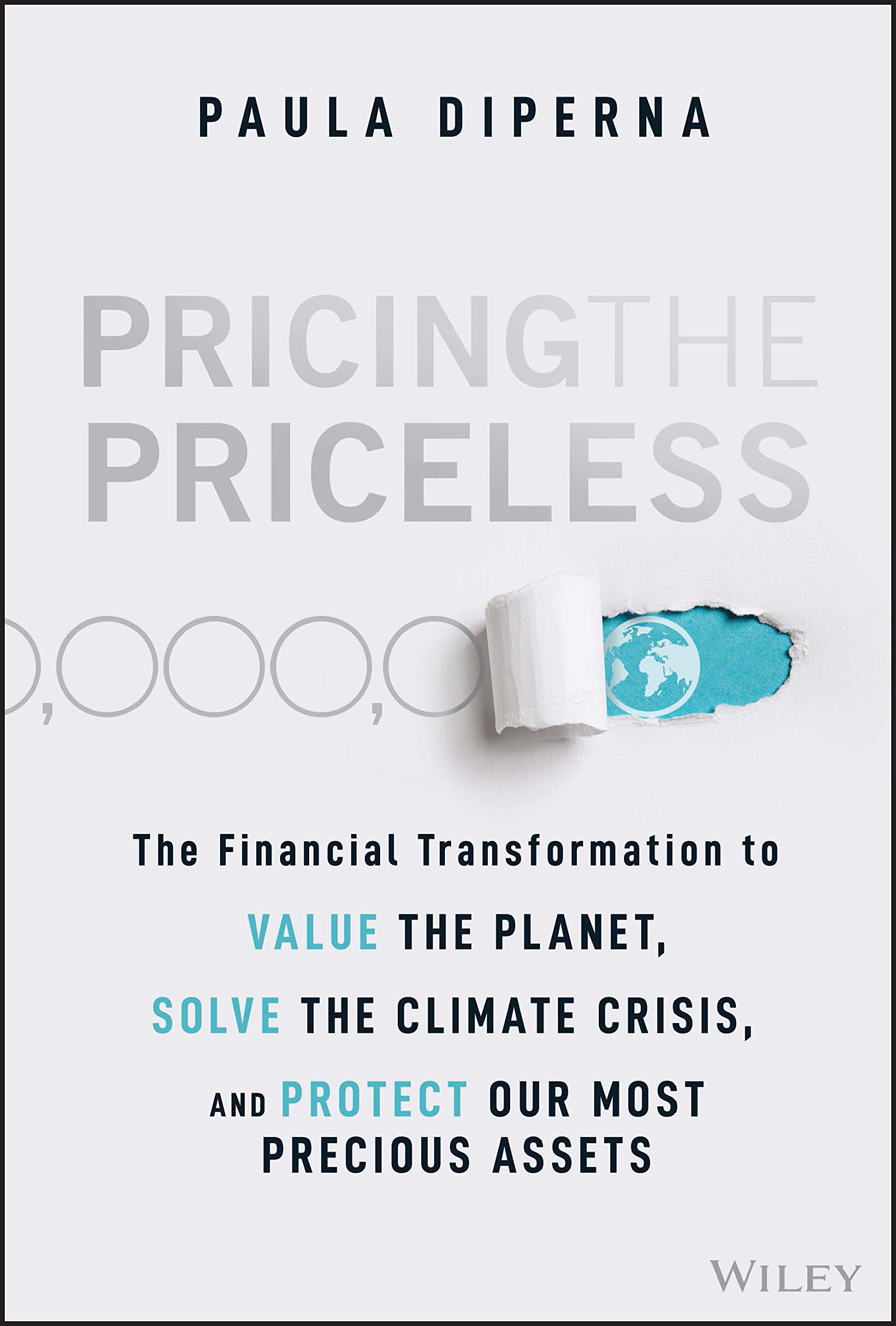 Pricing the Priceless by Paula DiPerna HARDBACK 9781119913801