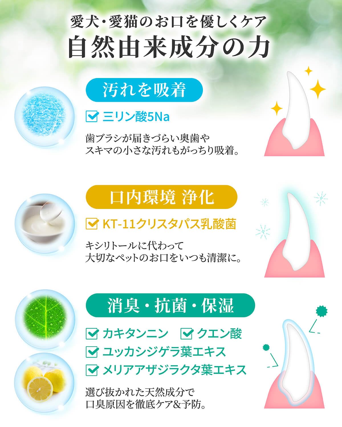 Amazon.co.jp: アニハ 犬猫用 液体ハミガキ【獣医師監修】水に