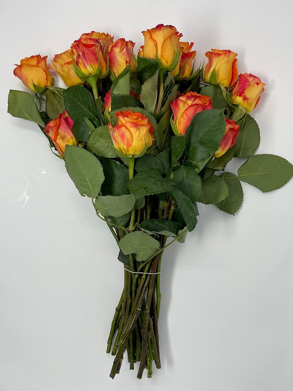 Floral Double Dozen Orange Roses