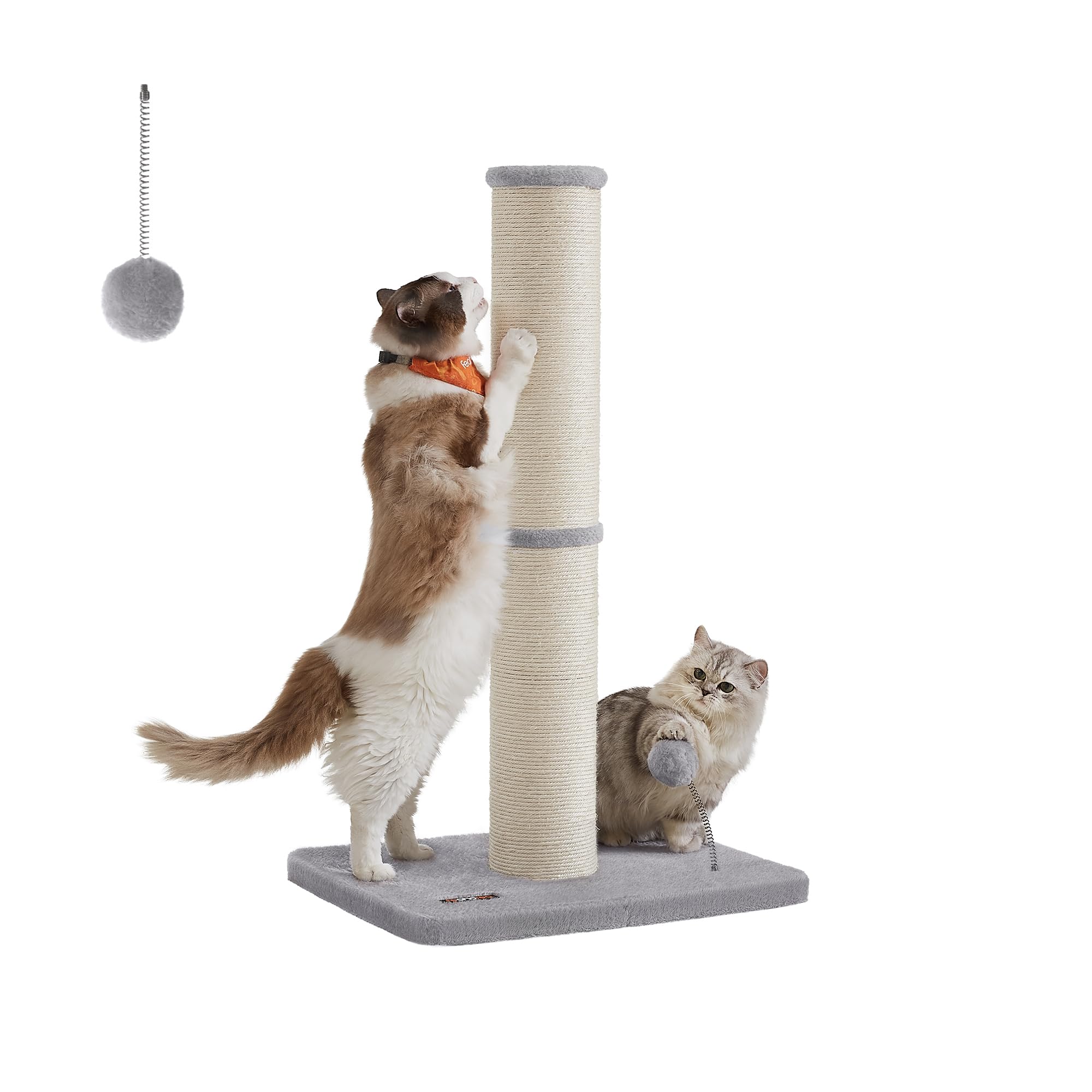 trinkflasche hund edelstahl Thermo Kinder Trinkflasche Edelstahl
