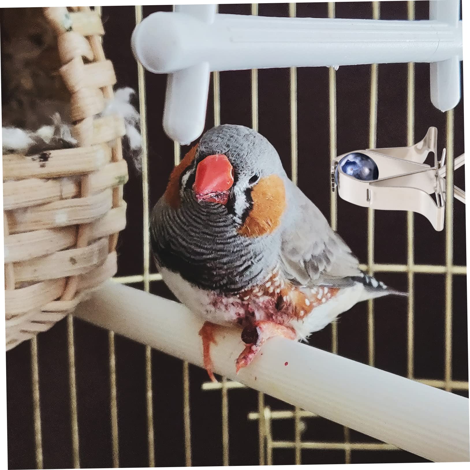 BESPORTBLE 20pièces Supports Alimentaires pour Oiseaux Clips Fixateurs De Fruits Et Légumes pour Cage à Oiseaux Accessoires pour Perroquets