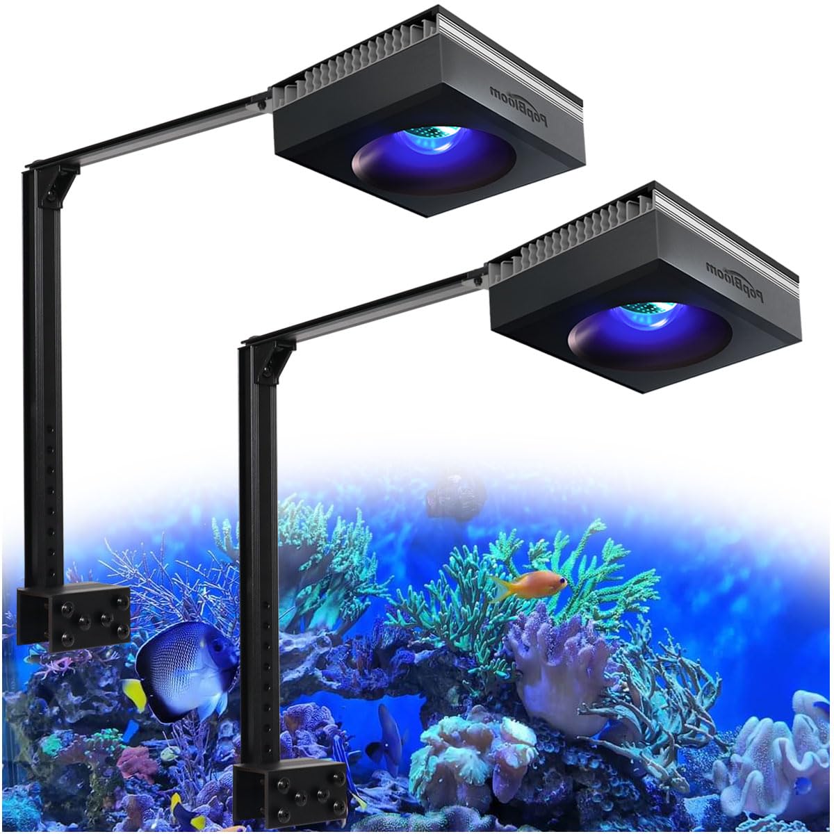 PopBloom RL90 WiFi LED Aquarium Beleuchtung 200W, Meerwasser LED Beleuchtung Vollspektrum für Reef Coral SPS/LPS Salzwasser Fish Aquarium (2 Lampen mit Armhalterung)
