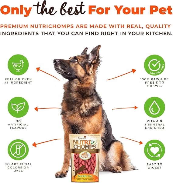 Nutri Chomps Scott Pet Nt013 Braid Chicken Flavor Dog Chew (4 Count), 6 | Long-lasting chew. High protein, low fat, healthy & delicious treat for dogs.