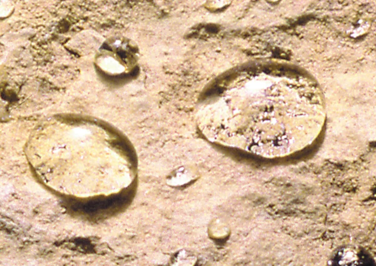Guard Industrie ImperGuard Ultra Protection Suelo Mate - Impermeabilizante Efecto Mate - Suelo Poroso Piedra Hormigón Losa Pavimentada - Incolor- 5L Traite 50m²