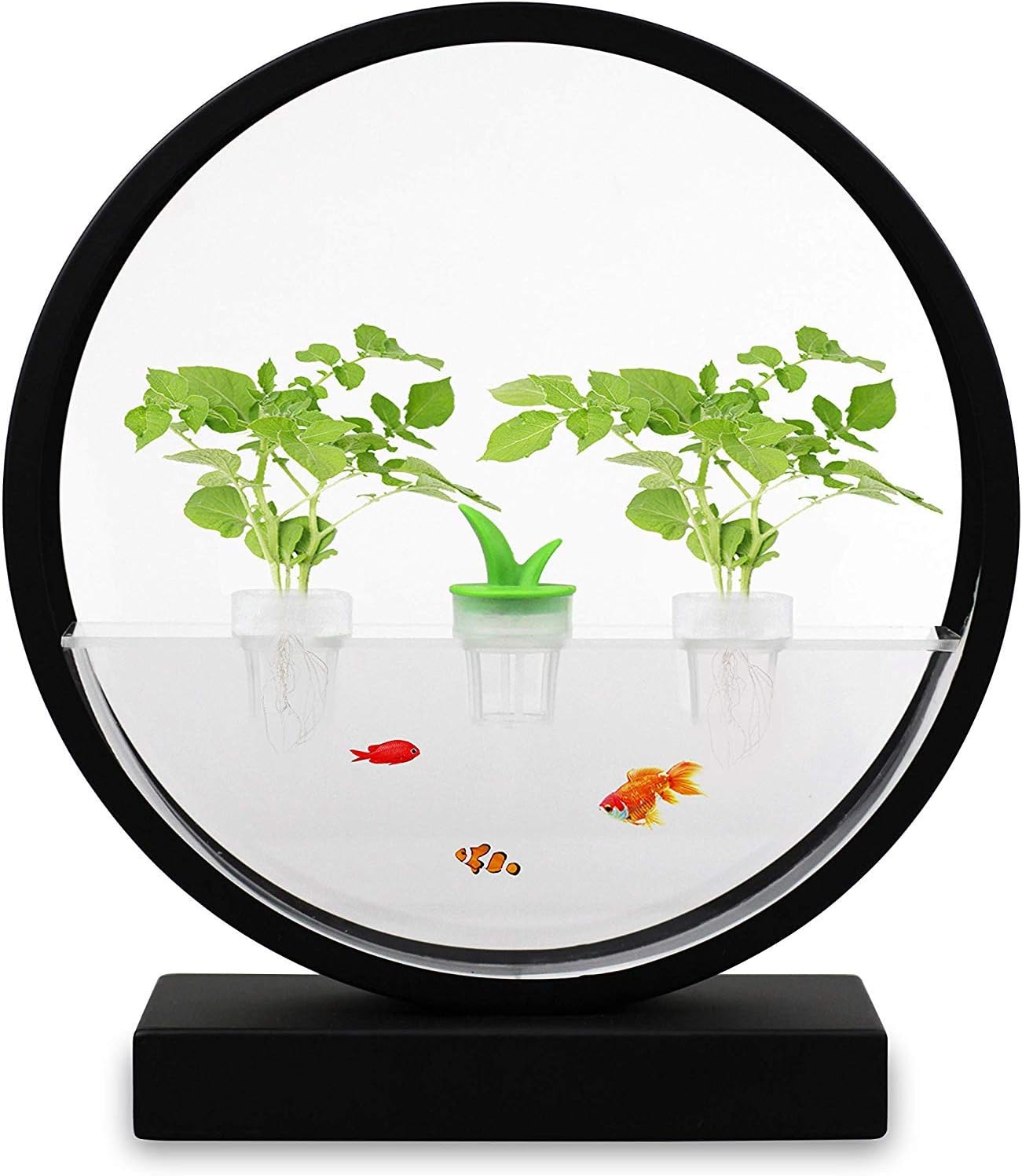 VegeBox Sprout LED with Gourmet Herb Seed Pod Kit, Indoor Hydroponics Growing System (Black)