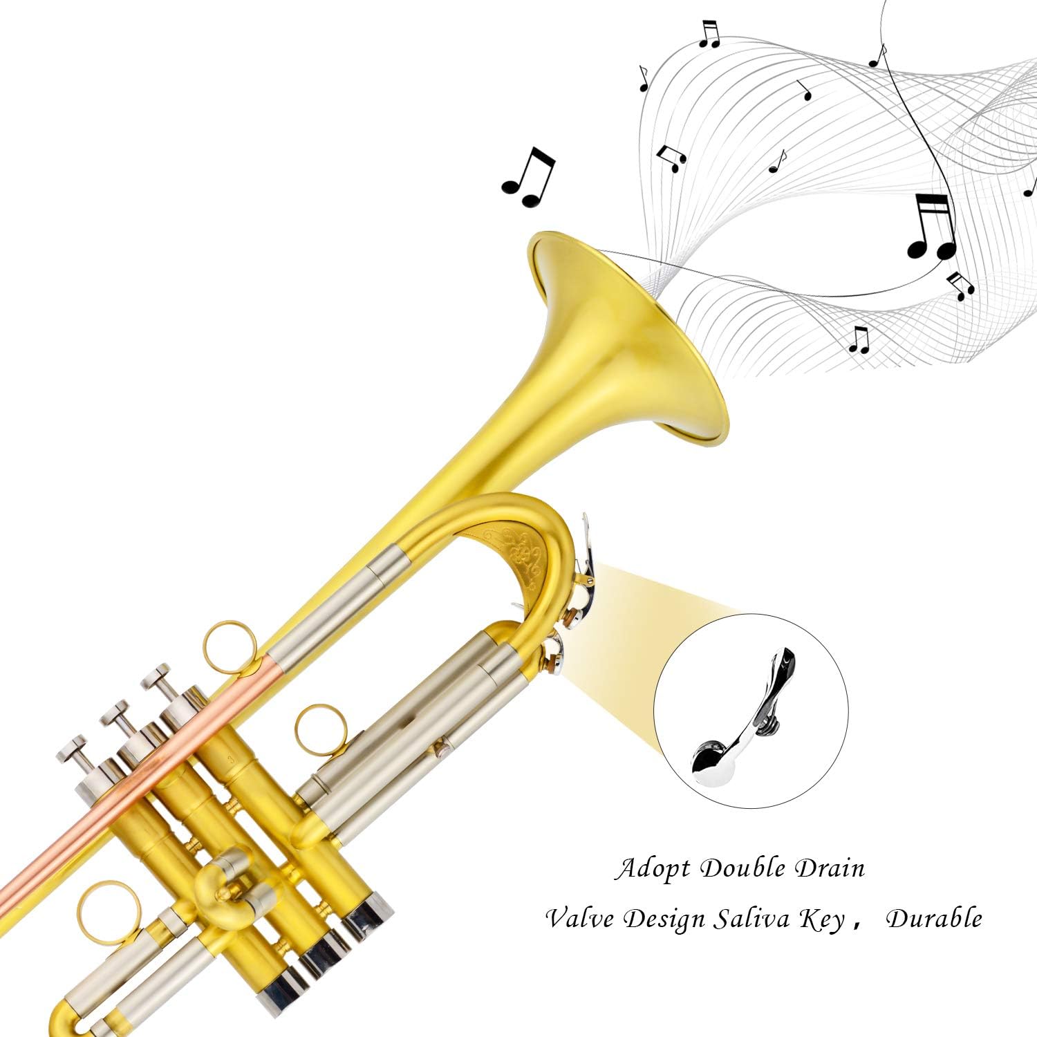 ROWELL Trumpet Bass Standard Bb Trumpet Set for Student Beginner and Professional with Deluxe Hand Case,Gloves,7C Mouthpiece and Trumpet Clean Kit (Antique Finished) : Musical Instruments