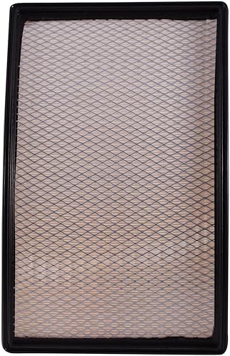 ECOGARD Filtro de aire de motor XA4655 Premium para Chevrolet Corvette 5.7L 1990-1996 | Pontiac Firebird 5.7L 1996-1997, Firebird 3.8L 1996-1997