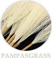 Vista 9 de VOSAREA 50 piezas de caña de caña de imitación seca hierba seca hierba jarrón relleno de cola de conejo, flores secas, decoración bohemia