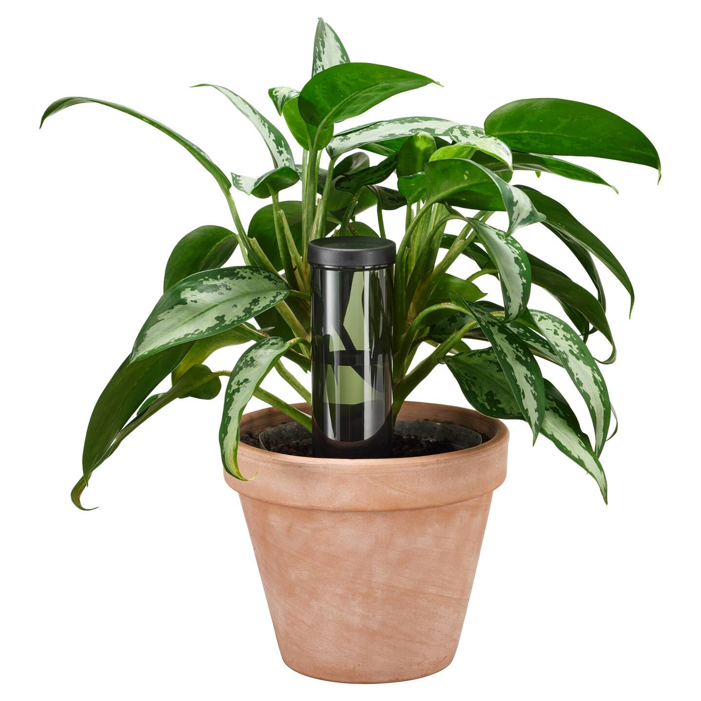 Kit D'Irrigation Goutte 40M, Arrosage Automatique Goutte A Goutte Kit