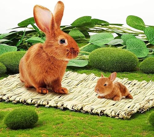 Miniatura 4 de kathson 8 alfombrillas de hierba de conejo, tejido natural, para mascotas, juguetes masticables para hámsters, loros, conejos, erizo, conejillo de