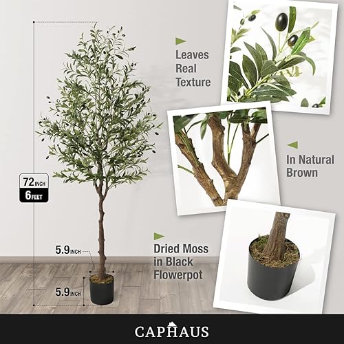 Miniatura 2 de CAPHAUS 6 pies, 72 pulgadas, olivo artificial, planta sintética en maceta, rama de olivo sintético y fruta, árbol topiario falso en maceta con musgo